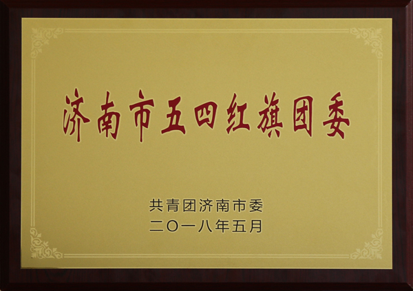 1525427584777456.jpg 五四团委.jpg